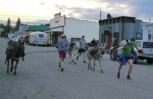 Walked most of the race with Bill the donkey supplier only to lose by a nose.
