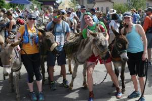 Got stuck with Bandit the donkey for a second year.