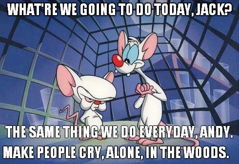 pinky_brain